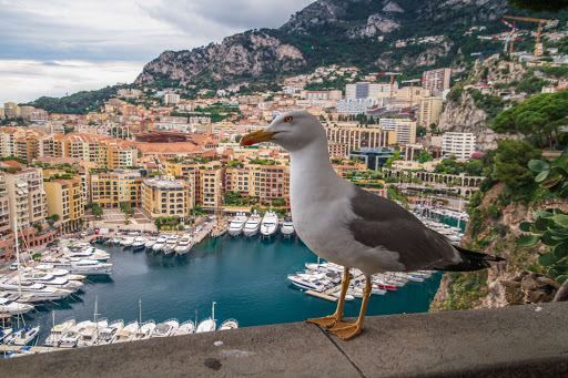 Panoramic view of Monaco