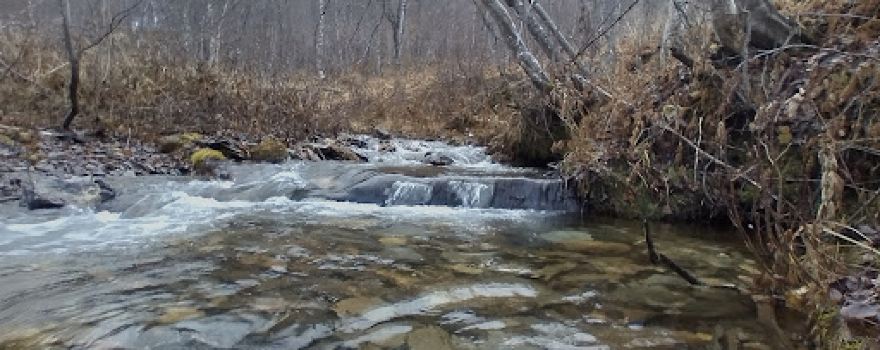 Wasserfall
