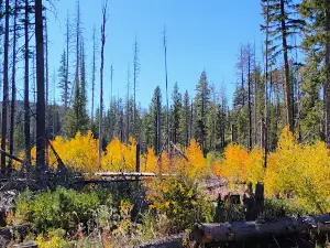 Whychus Creek Overlook Trailhead