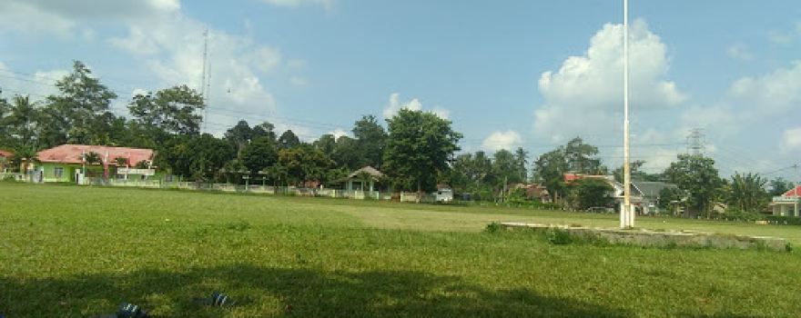 Lapangan ternuk
