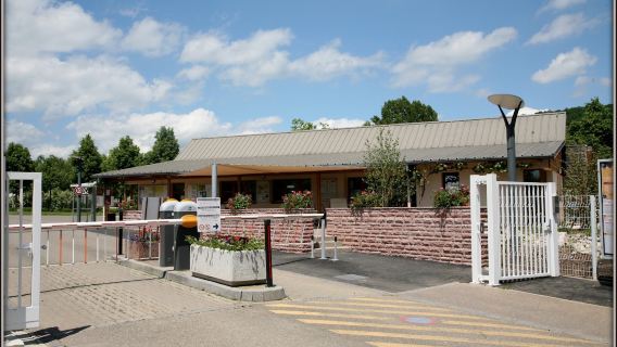 Camping municipal d'Obernai "The Vallon Ehn"