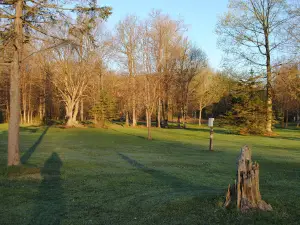 Flambeau Lodge and Campground