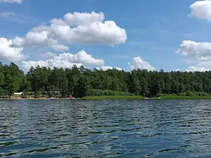 Campsite. Pod Sosnami