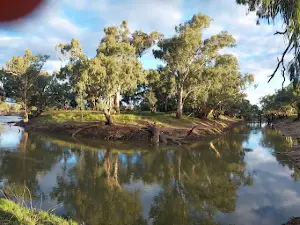 Lachlan River Campground