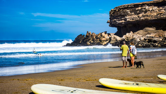 Adrenalin surf school