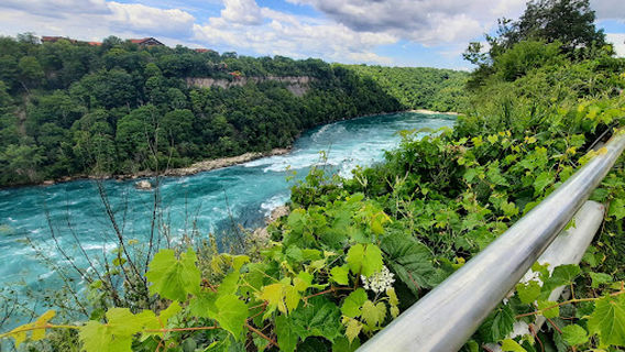 De Veaux Woods State Park