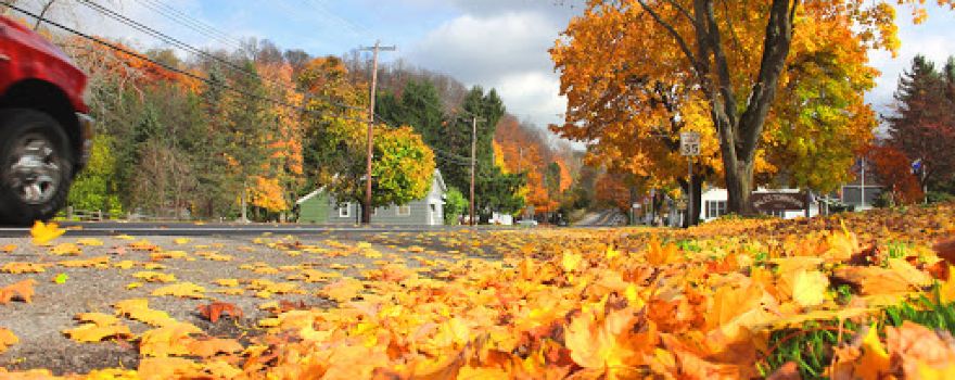 Wales Town Park