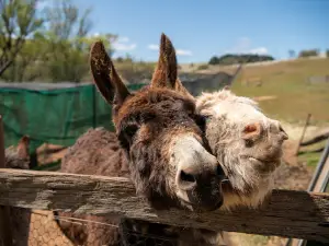 Taralga Wildlife Park