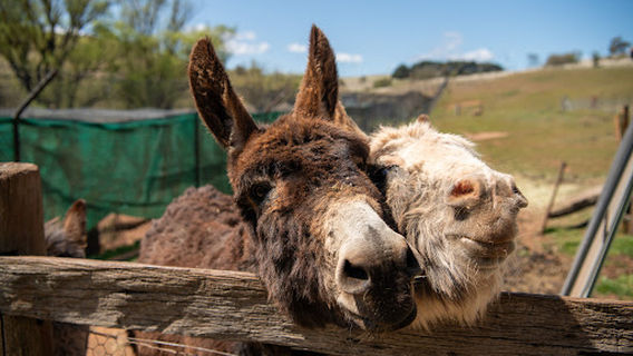 Taralga Wildlife Park
