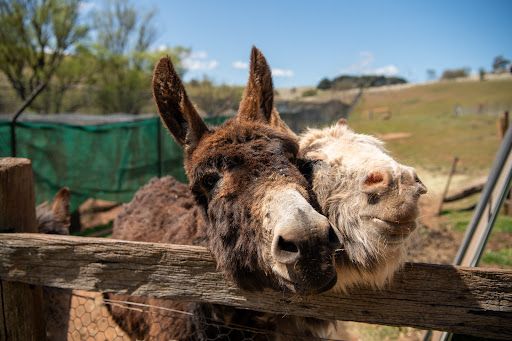 Taralga Wildlife Park