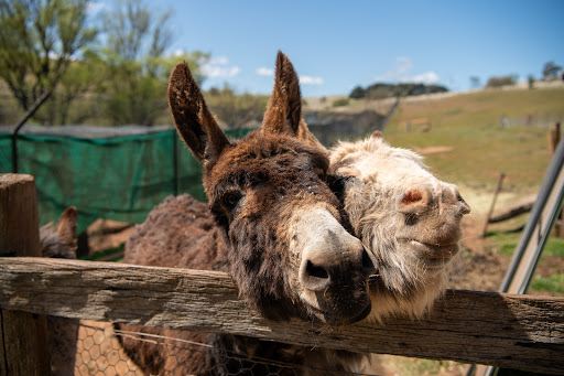 Taralga Wildlife Park