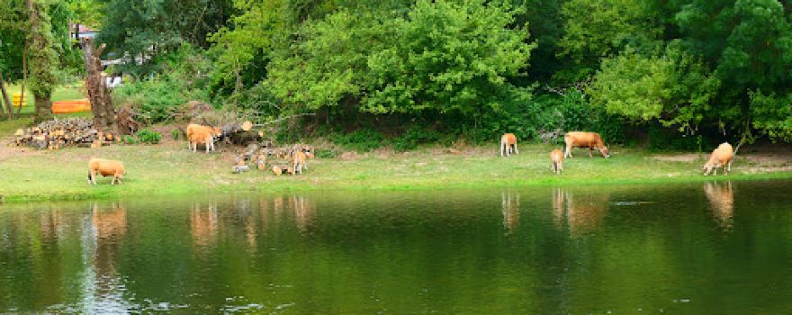 Camping De Mon Village (Aire Camping-Car Park)