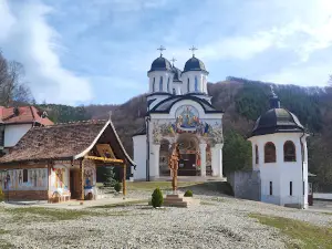 Mănăstirea Turnu Roșu
