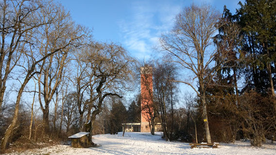 Франкенхардт