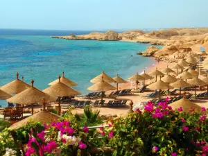 Shark's Bay Beach