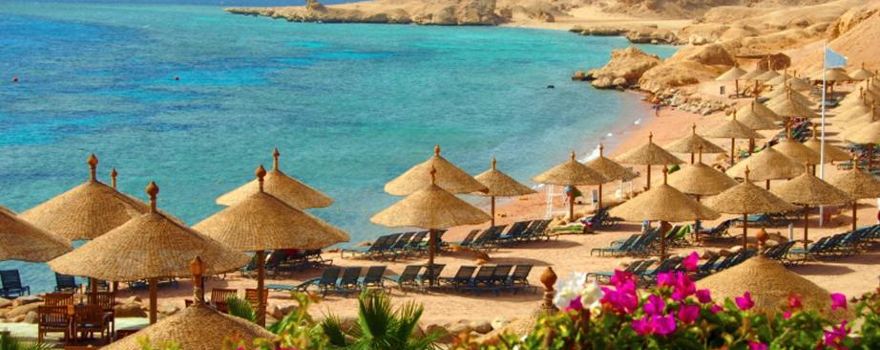Shark's Bay Beach