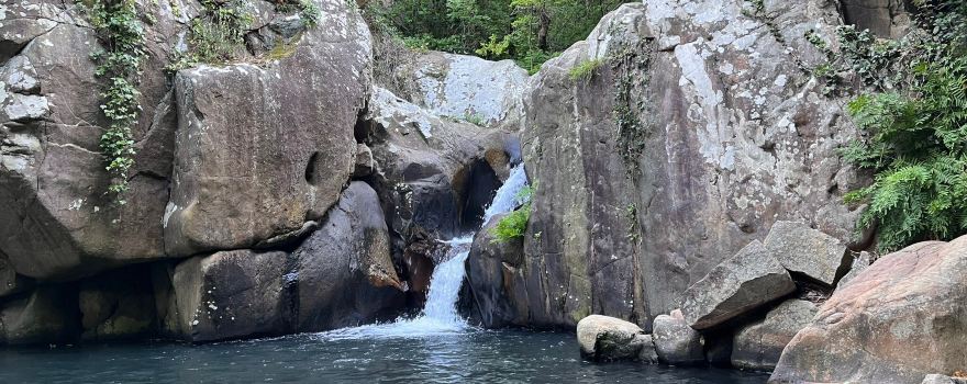 Sendero Rio de la Miel