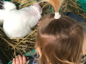 Leahy's Open Farm