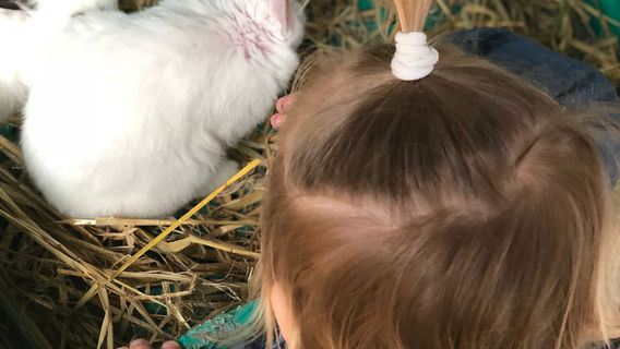 Leahy's Open Farm