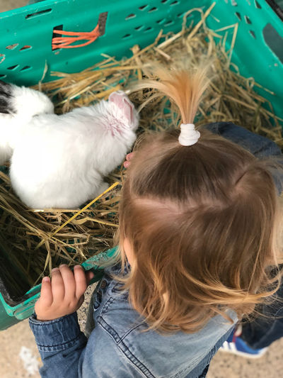 Leahy's Open Farm
