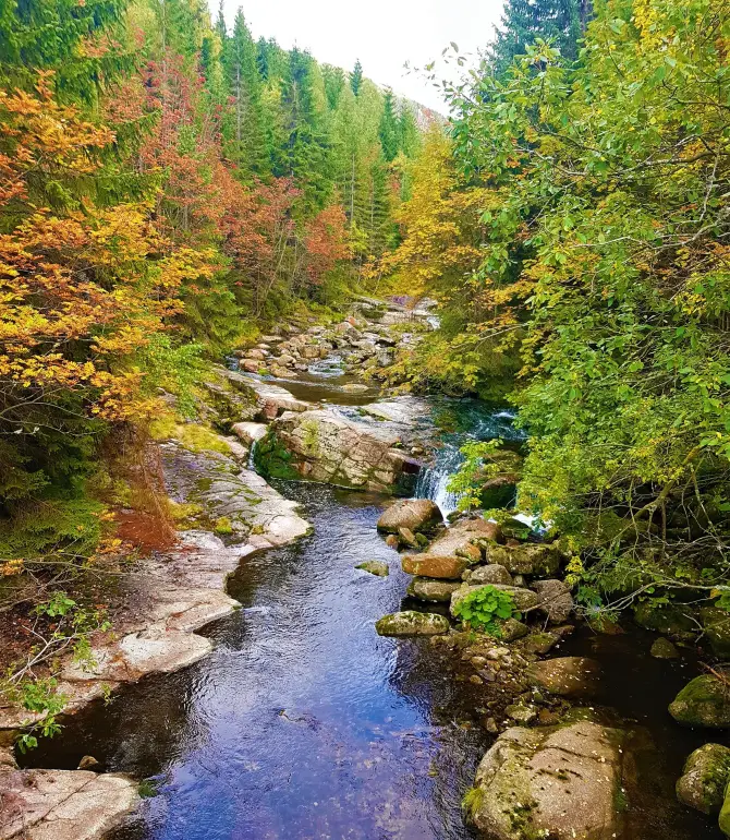 Harrachov