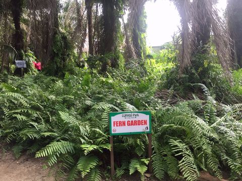 LUFASI Nature Park Lagos