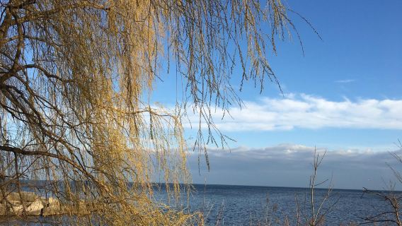 J.C. Saddington Park