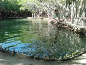 Reserva Ecologica El Corchito