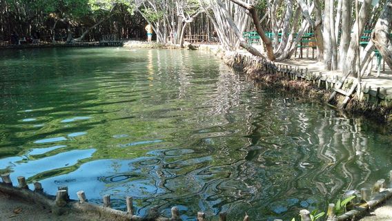 Reserva Ecologica El Corchito