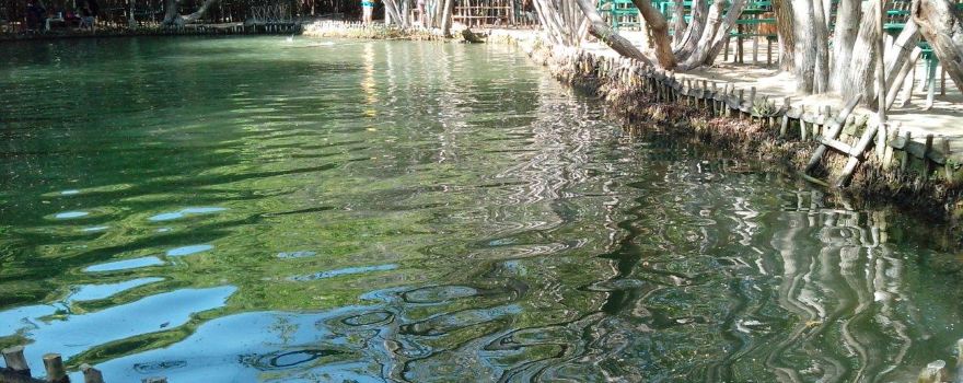 Reserva Ecologica El Corchito