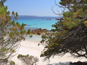 Spiaggia Rosa