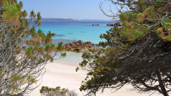 Spiaggia Rosa