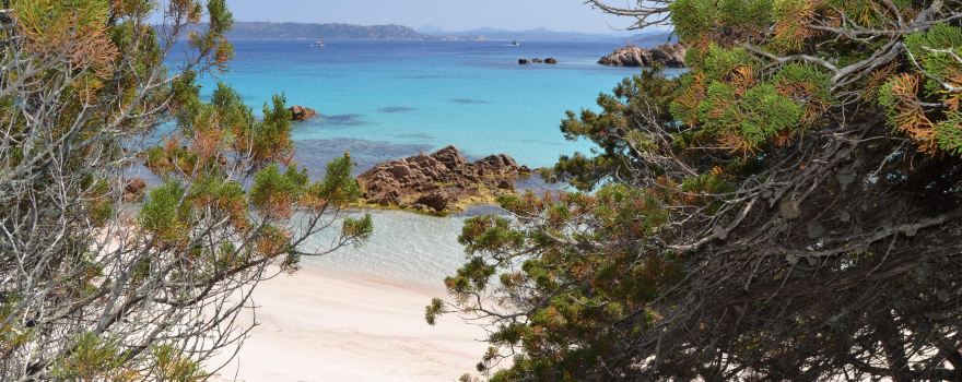 Spiaggia Rosa