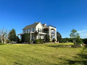 Tara Vineyard & Winery