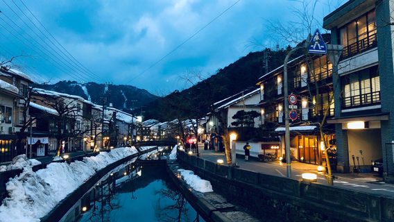 Toyooka
