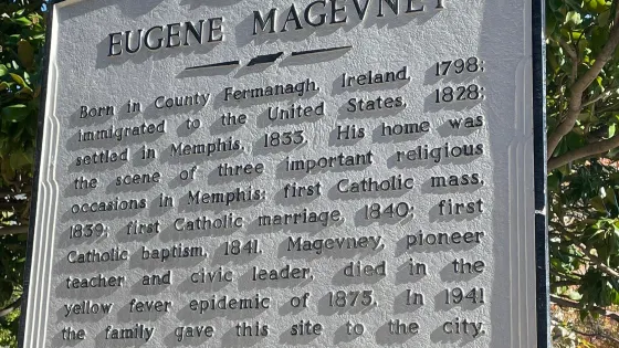 Magevney House