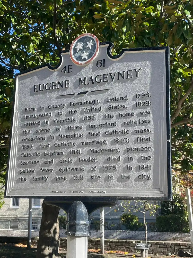 Hotels near Magevney House