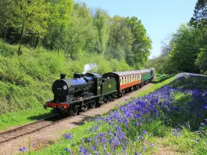 Bluebell Railway - (Sheffield Park, Station)