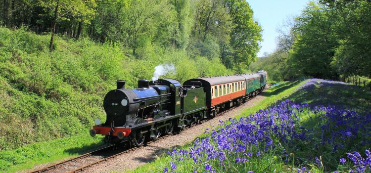 Bluebell Railway - (Sheffield Park, Station)
