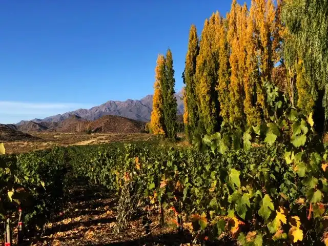 Hotels near Valle de Uco