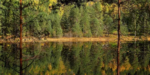 Telemarksvegen