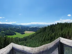 Wipfelwanderweg Rachau