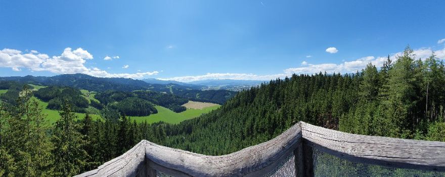 Wipfelwanderweg Rachau