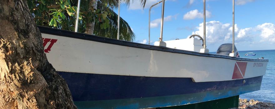 Sonny Dive Shop