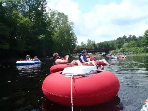 Bullfrog Adventures