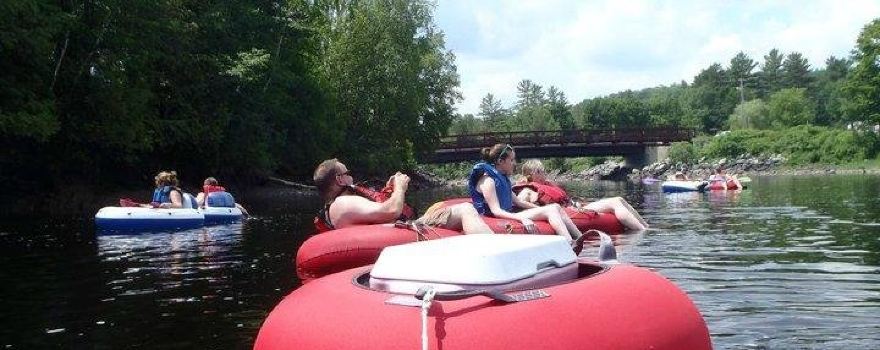 Bullfrog Adventures