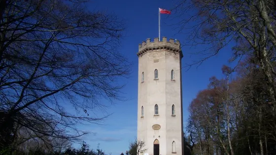 The Nelson Tower