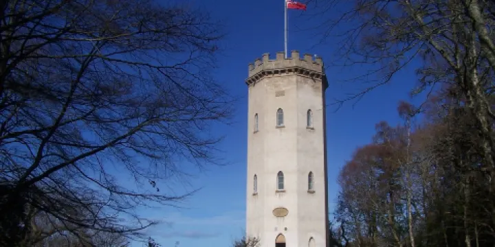 The Nelson Tower