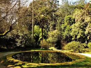 Pazo de Santa Cruz de Rivadulla