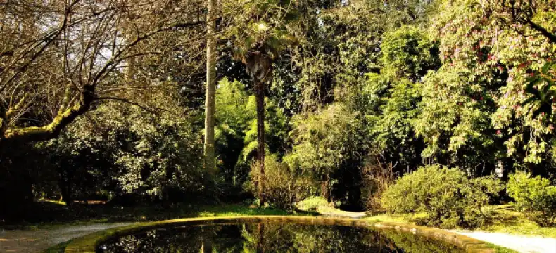 Comarca de Santiago